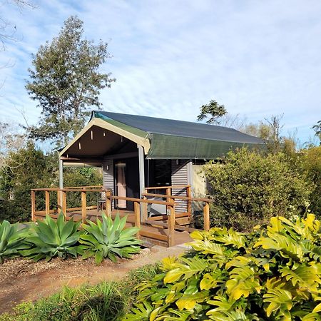 Southern Sky Glamping Mount Tamborine Buitenkant foto